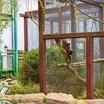 Tropenhaus Bansin 4* Херингсдорф