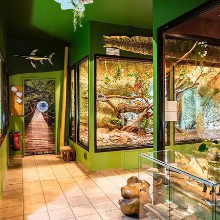 Apart Otel Tropenhaus Bansin Heringsdorf