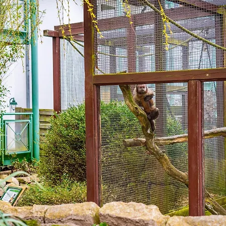 Tropenhaus Bansin 4* Heringsdorf